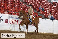 13buck_5782 thumbnail