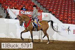 13buck_5791 thumbnail