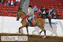 13buck_5792 thumbnail