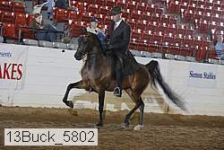 13buck_5802 thumbnail