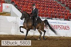 13buck_5803 thumbnail