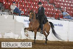 13buck_5804 thumbnail