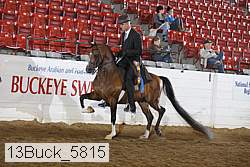 13buck_5815 thumbnail