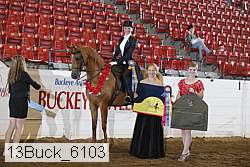 13buck_6103 thumbnail