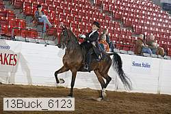 13buck_6123 thumbnail