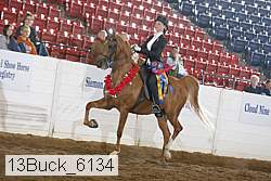13buck_6134 thumbnail