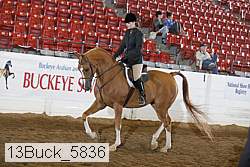 13buck_5836 thumbnail