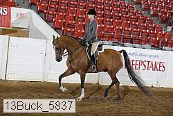 13buck_5837 thumbnail