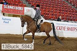 13buck_5842 thumbnail