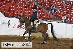 13buck_5844 thumbnail