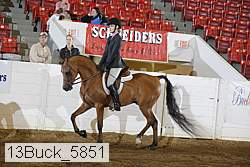 13buck_5851 thumbnail