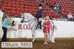 13buck_5853 thumbnail