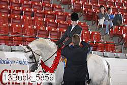 13buck_5859 thumbnail