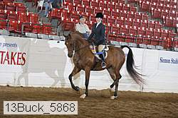 13buck_5868 thumbnail