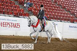 13buck_5882 thumbnail