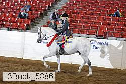 13buck_5886 thumbnail