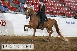 13buck_5940 thumbnail