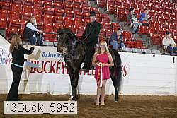 13buck_5952 thumbnail