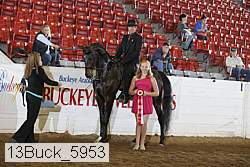 13buck_5953 thumbnail