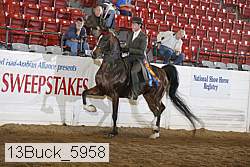 13buck_5958 thumbnail