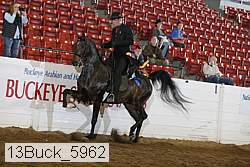13buck_5962 thumbnail