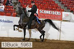 13buck_5963 thumbnail