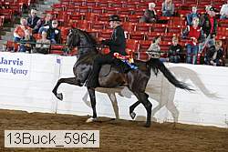 13buck_5964 thumbnail