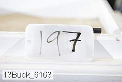 13buck_6163 thumbnail