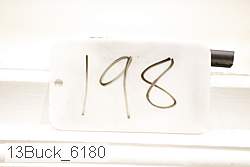 13buck_6180 thumbnail