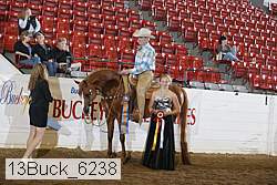 13buck_6238 thumbnail