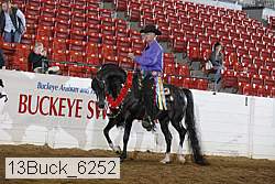 13buck_6252 thumbnail