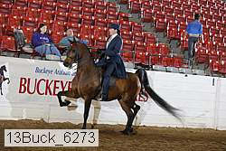 13buck_6273 thumbnail