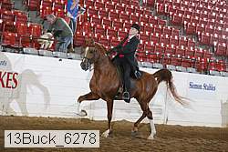 13buck_6278 thumbnail