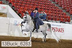 13buck_6283 thumbnail
