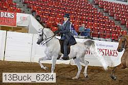 13buck_6284 thumbnail