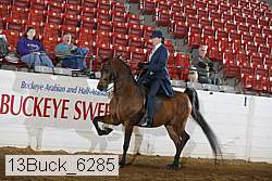 13buck_6285 thumbnail