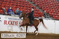13buck_6287 thumbnail