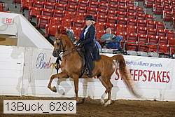 13buck_6288 thumbnail