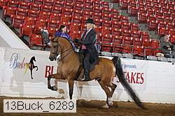13buck_6289 thumbnail