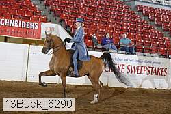 13buck_6290 thumbnail