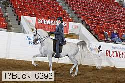 13buck_6292 thumbnail