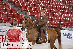 13buck_6293 thumbnail
