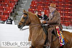 13buck_6296 thumbnail