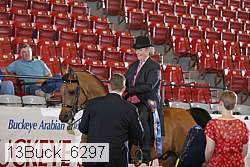 13buck_6297 thumbnail