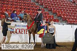 13buck_6299 thumbnail