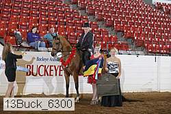 13buck_6300 thumbnail