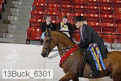 13buck_6301 thumbnail
