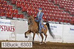 13buck_6303 thumbnail