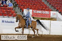 13buck_6305 thumbnail