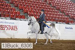 13buck_6306 thumbnail